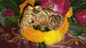 IMG_20240502_191155216